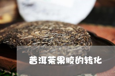 普洱茶果胶的转化/2023120460804