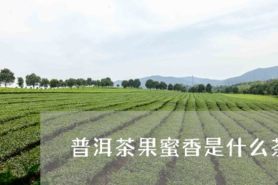 普洱茶果蜜香是什么茶/2023062559795