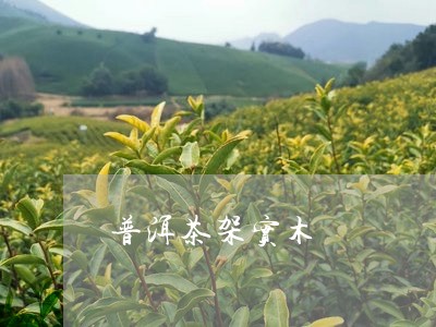 普洱茶架实木/2023042765247