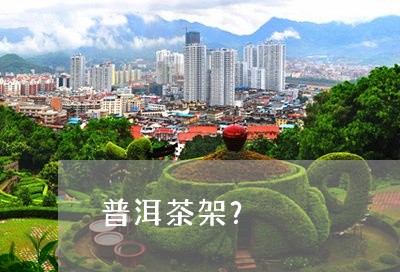 普洱茶架？/2023090516030