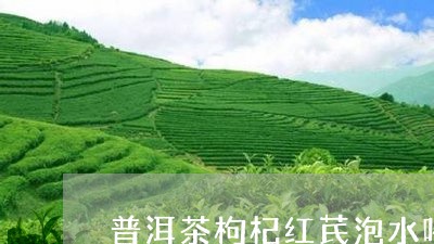 普洱茶枸杞红芪泡水喝/2023061739350