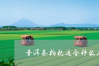 普洱茶枸杞适合什么人/2023073151592