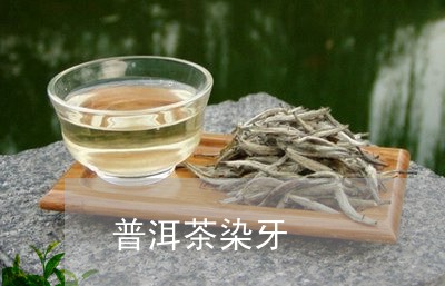 普洱茶染牙/2023090602735