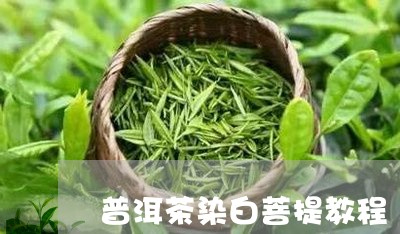 普洱茶染白菩提教程/2023083042837