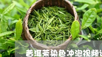 普洱茶染色冲泡视频讲解/2023121797260