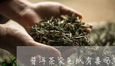 普洱茶染色纸有毒吗能喝吗/2023110436179