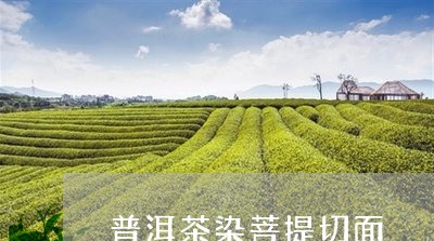 普洱茶染菩提切面/2023121771936