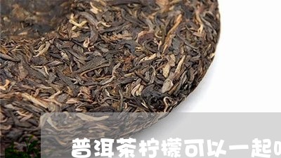 普洱茶柠檬可以一起吗/2023061565050