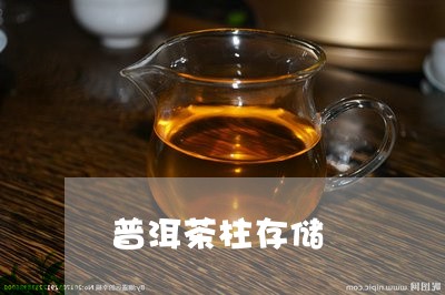 普洱茶柱存储/2023042697403