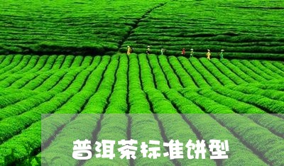 普洱茶标准饼型/2023120304147