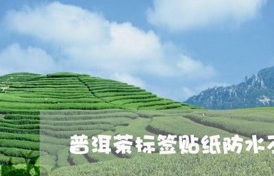 普洱茶标签贴纸防水不透气/2023083035392