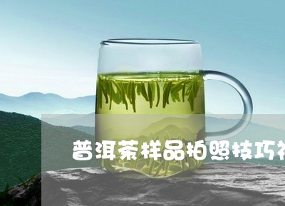 普洱茶样品拍照技巧视频/2023120709592