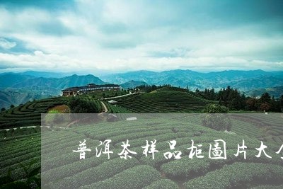 普洱茶样品柜图片大全价格/2023112490826