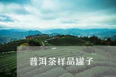 普洱茶样品罐子/2023081881647