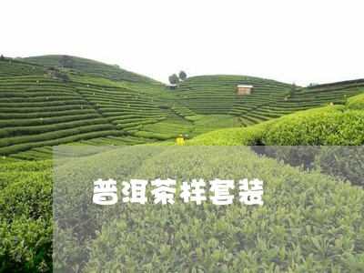 普洱茶样套装/2023081891917