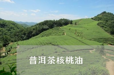 普洱茶核桃油/2023042885057