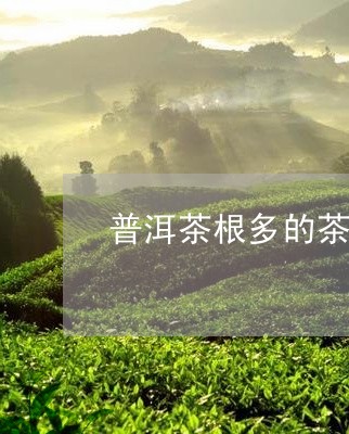 普洱茶根多的茶叶好吗/2023062138383