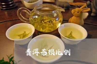 普洱茶根比例/2023091382824