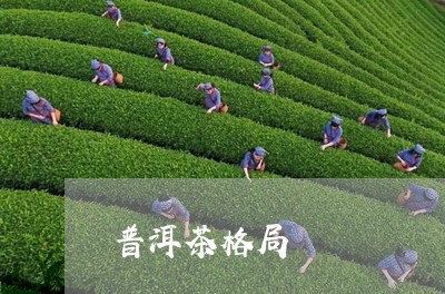 普洱茶格局/2023102556270