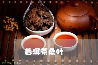 普洱茶桑叶/2023090657462