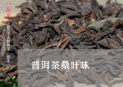 普洱茶桑叶味/2023042998367