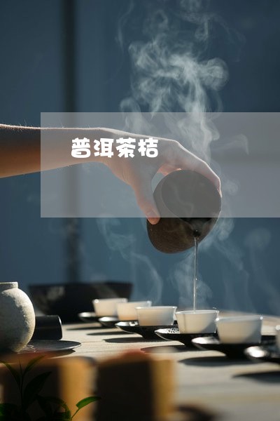 普洱茶桔/2023110848482