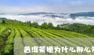 普洱茶梗为什么那么贵/2023062429493