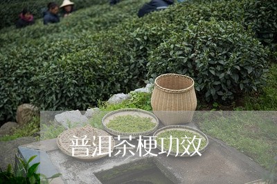 普洱茶梗功效/2023042997099