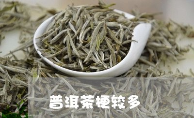 普洱茶梗较多/2023042705675