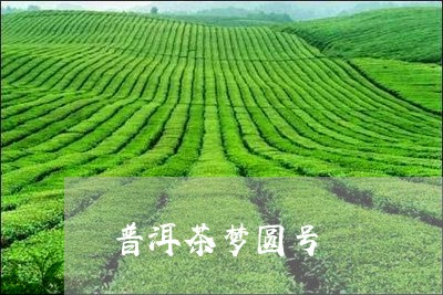 普洱茶梦圆号/2023042692838