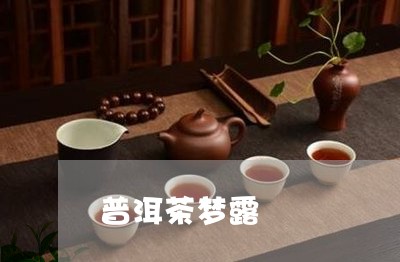 普洱茶梦露/2023090584938