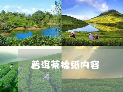 普洱茶棉纸内容/2023121782847