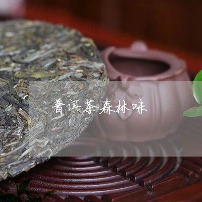 普洱茶森林味/2023042666280