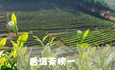 普洱茶榜一/2023081723926