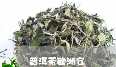 普洱茶欧洲仓/2023042880650