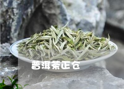 普洱茶正仓/2023090640706