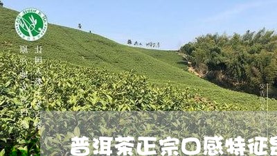 普洱茶正宗口感特征是什么样的/2023082806281