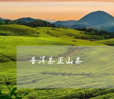 普洱茶正山茶/2023042665172