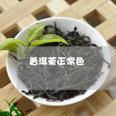 普洱茶正常色/2023042719631