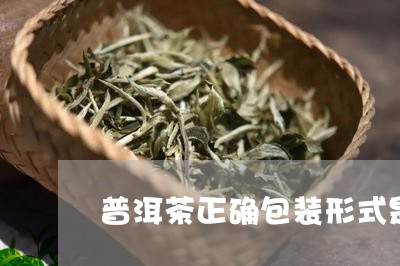 普洱茶正确包装形式是什么样的/2023053076051