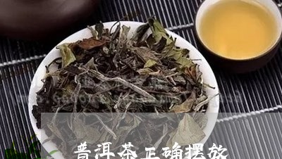 普洱茶正确摆放/2023102650473