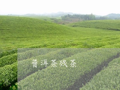 普洱茶残茶/2023090693796