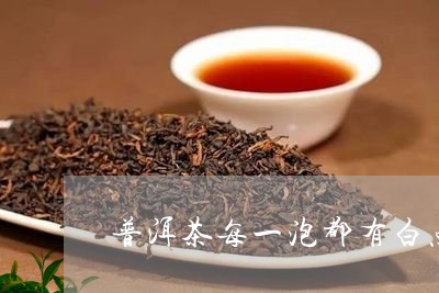 普洱茶每一泡都有白点/2023092895045