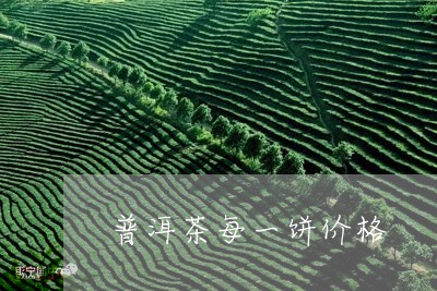 普洱茶每一饼价格/2023083076159