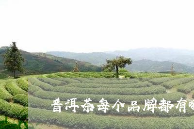 普洱茶每个品牌都有哪些/2023101731615