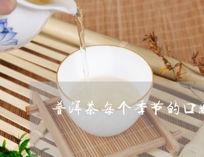 普洱茶每个季节的口感/2023100592816