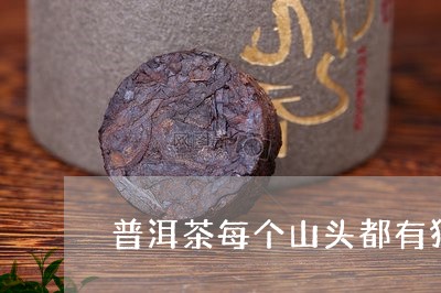 普洱茶每个山头都有独特的魅力/2023110259471