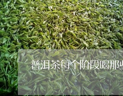 普洱茶每个阶段喝那些/2023062518270