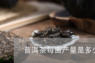 普洱茶每亩产量是多少/2023062016279