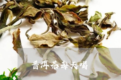 普洱茶每天喝/2023042926745